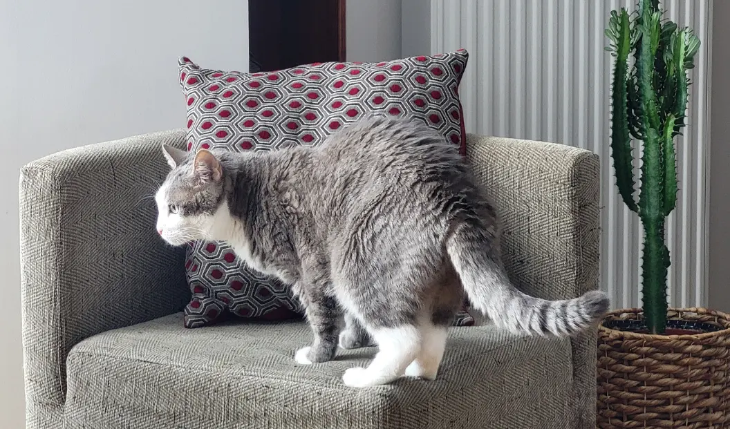 Détail de vie – Projet Bontemps